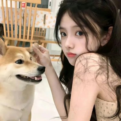 开放的美国学府